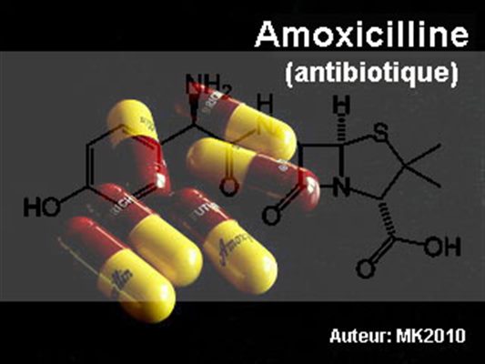 interaction amoxicilline pilule