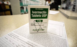 Ivermectin Pilules