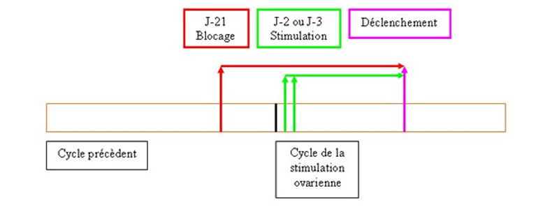clomid generique avis