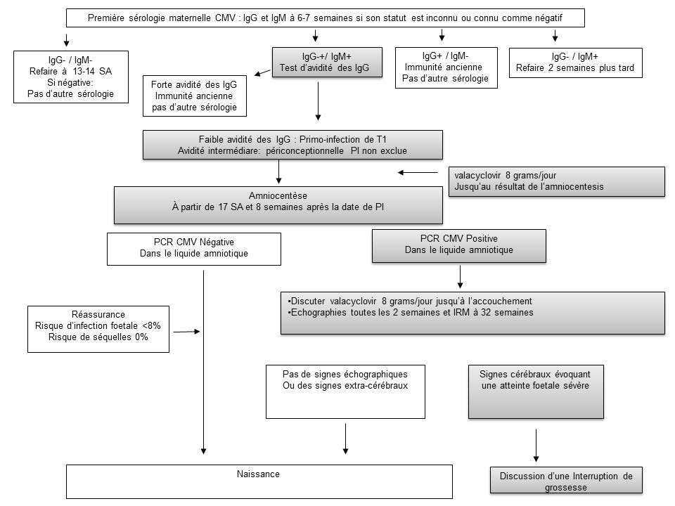 prix valacyclovir