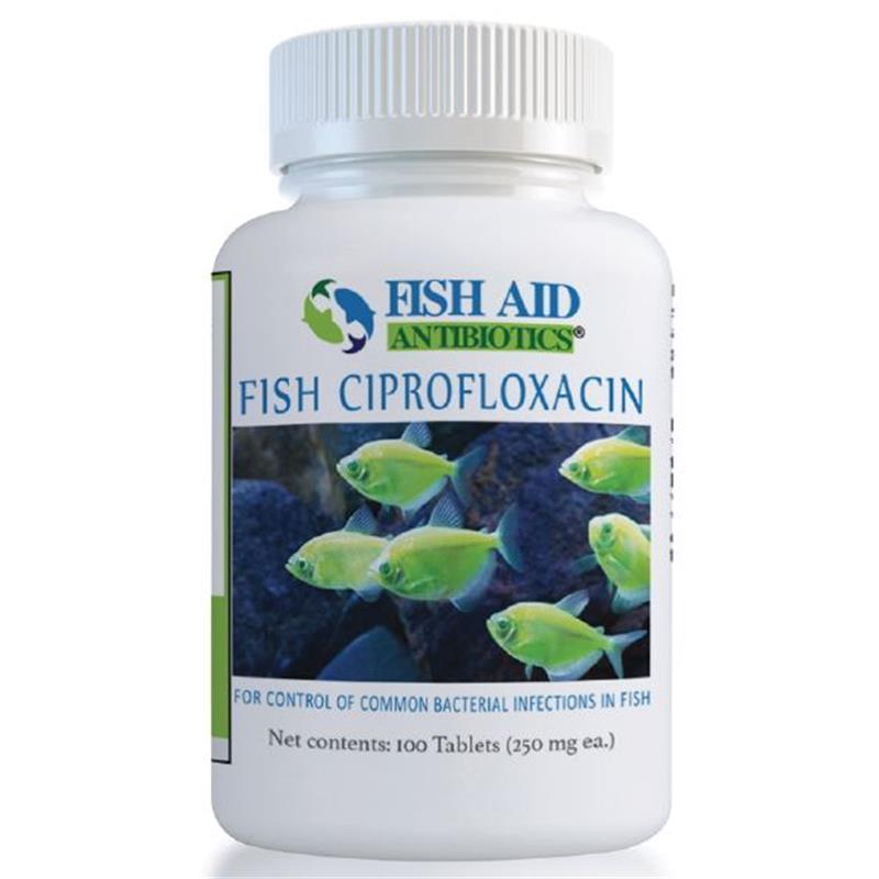 Zeniflox ciprofloxacin 500 mg