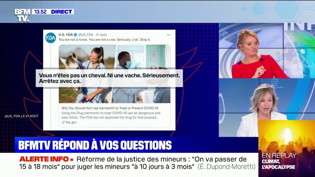 coût du ivermectin