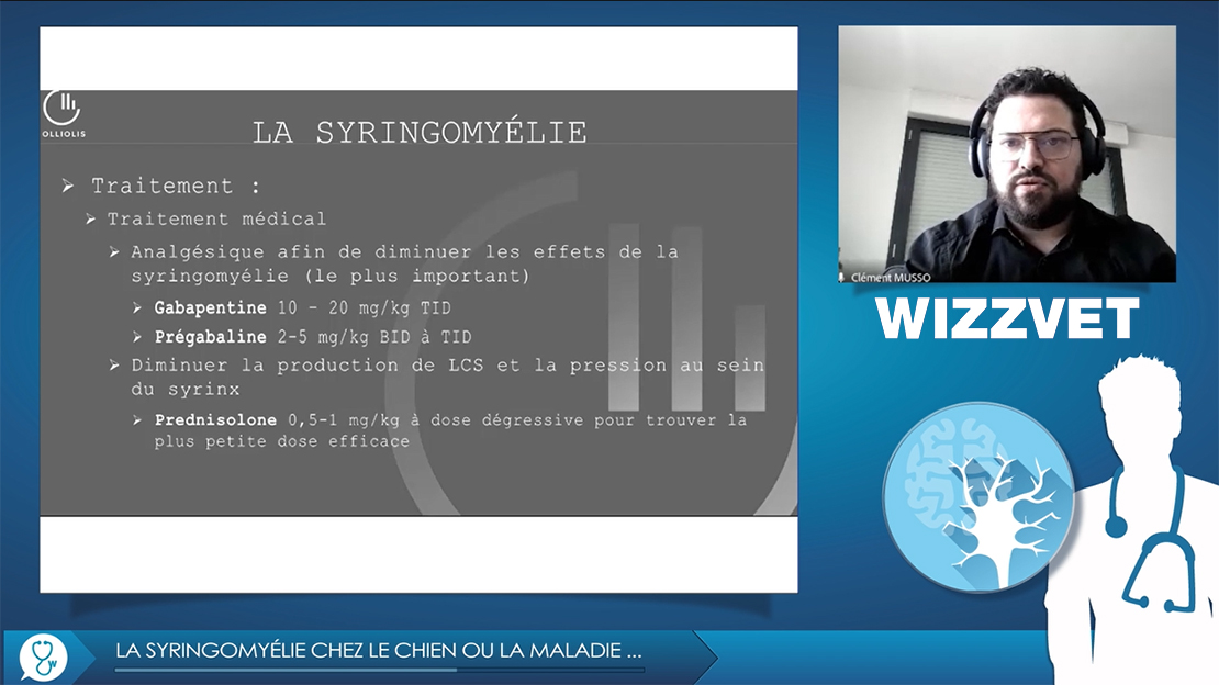 prednisolone en ligne