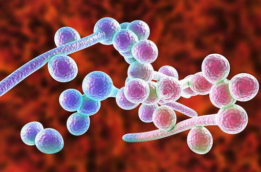Diflucan en france