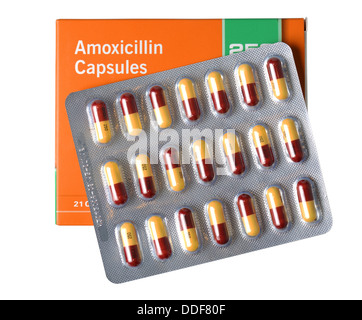 amoxil pilules