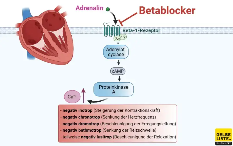 Propranolol 40 Mg Inderal