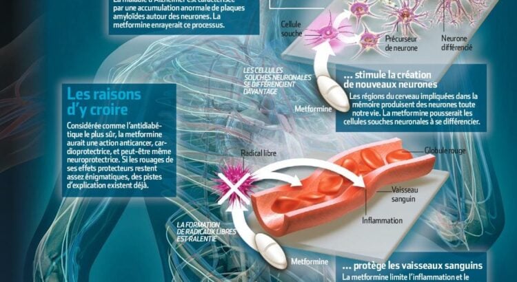 Ordre Glucophage