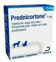 prednisolone 20mg pour quoi