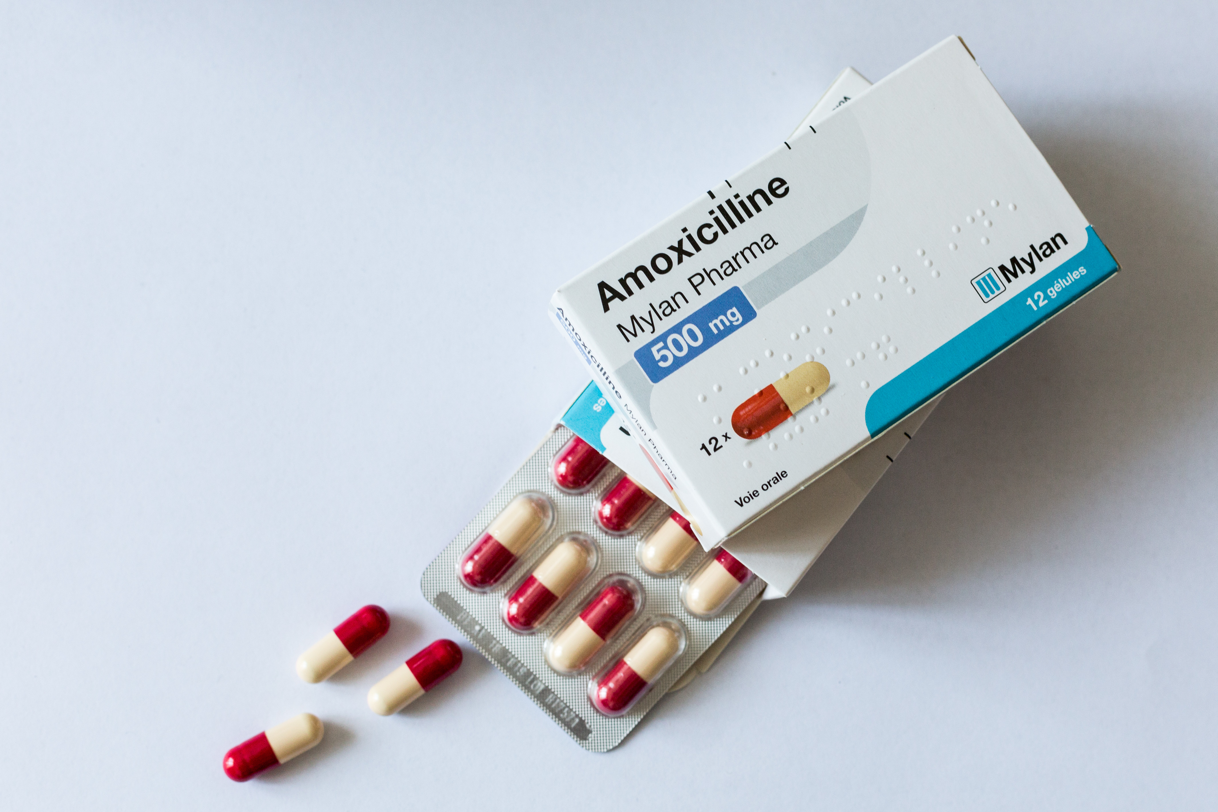 amoxicilline prix