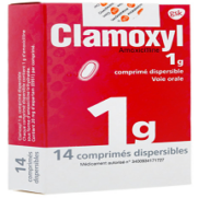 amoxicilline 750 prix Amoxicilline 750 prix