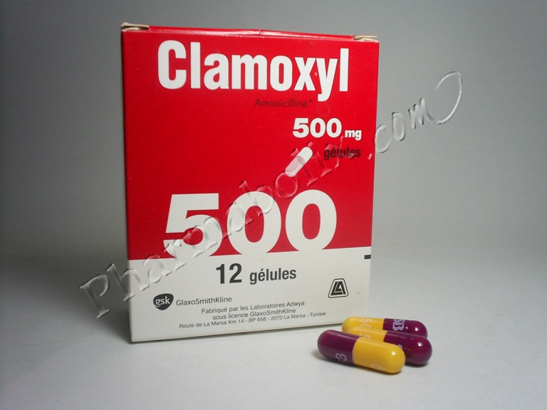 Le prix de amoxicilline Le Prix De Amoxicilline