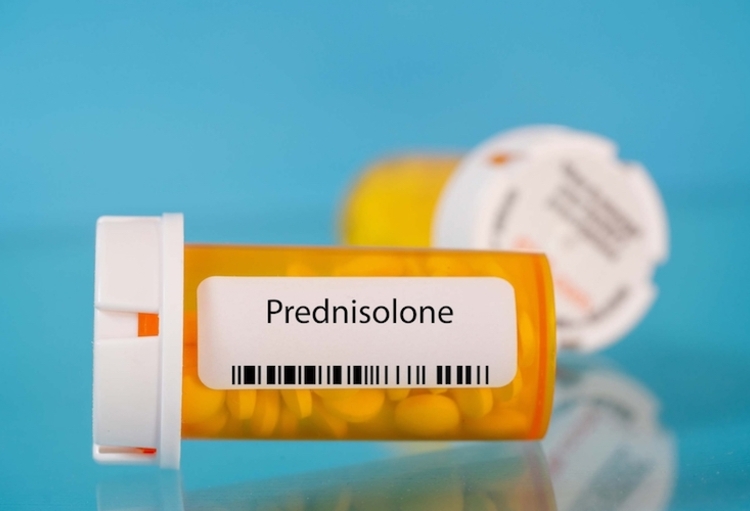 Commander Du Prednisolone En Ligne commander du prednisolone en ligne