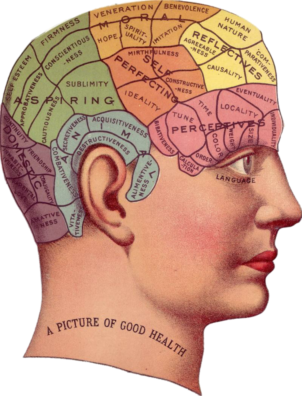 Lorazépam acheter sans ordonnance Lorazépam acheter sans ordonnance