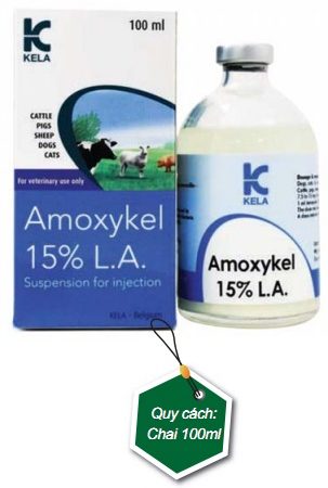 Amoxicilline Injectable Prix
