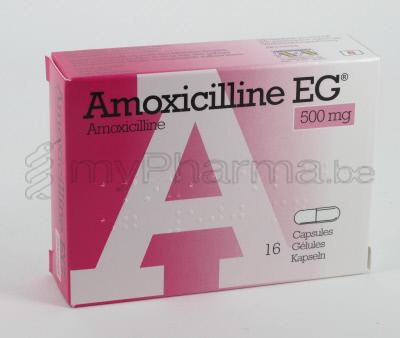 Amoxicillin 500mg online