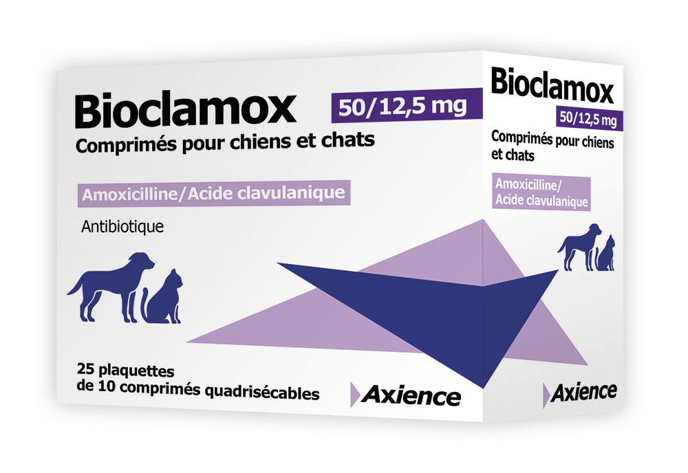 amoxicillin clavulanic acid online