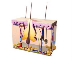 Acheter isotrétinoïne générique Acheter isotrétinoïne générique