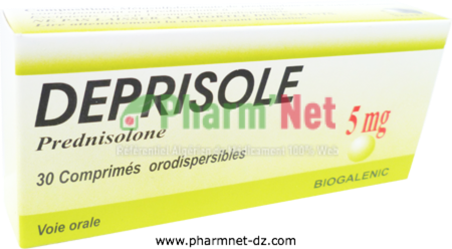 Generique solupred prednisolone mylan
