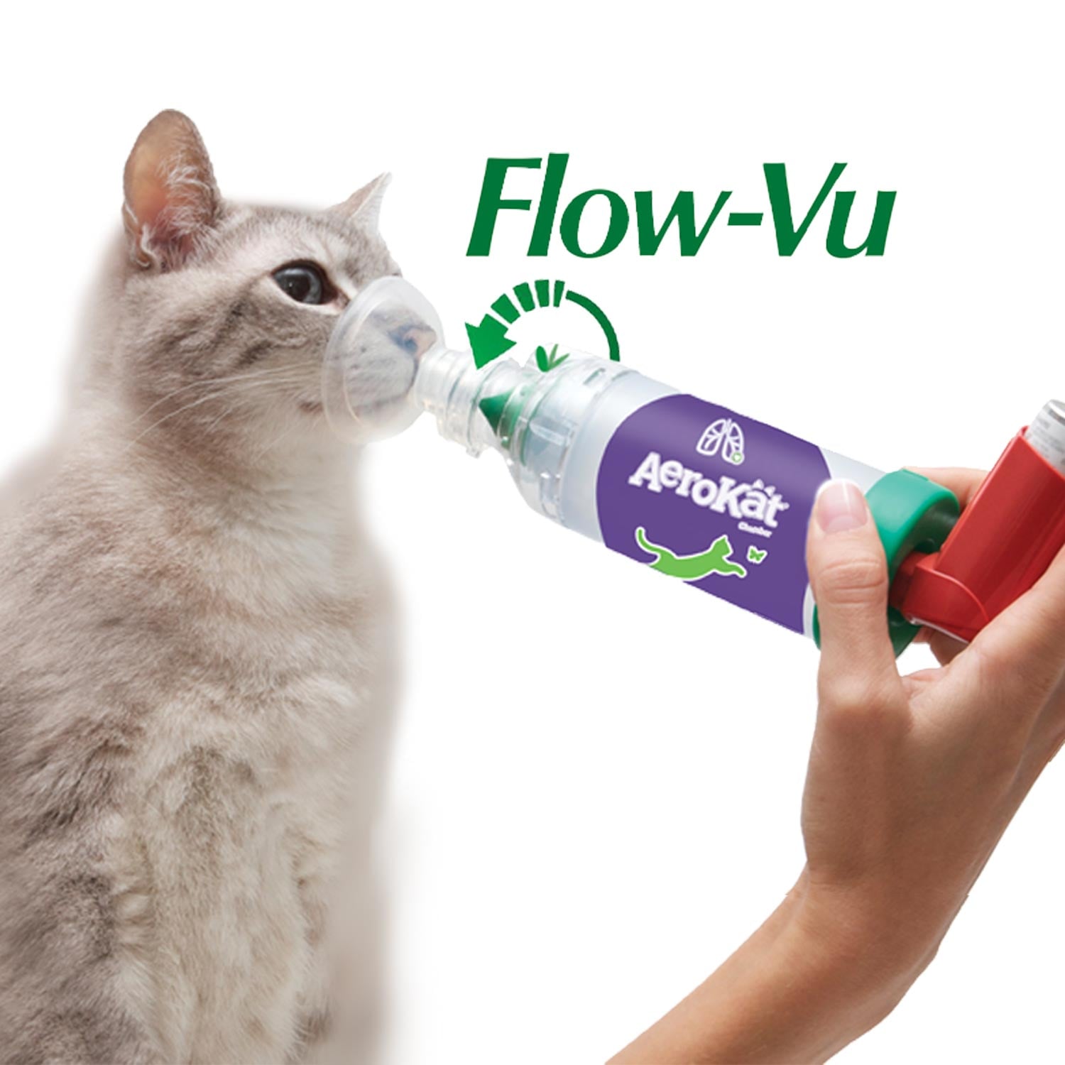 Salbutamol Achat Ligne