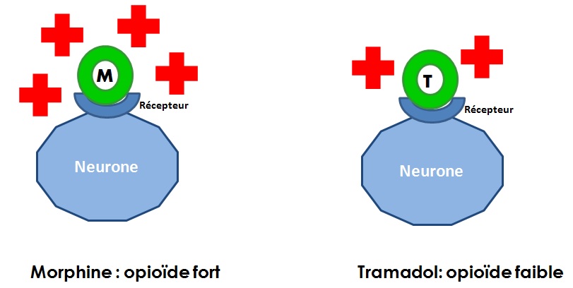 Tramadol Bon Marché Tramadol Bon Marché
