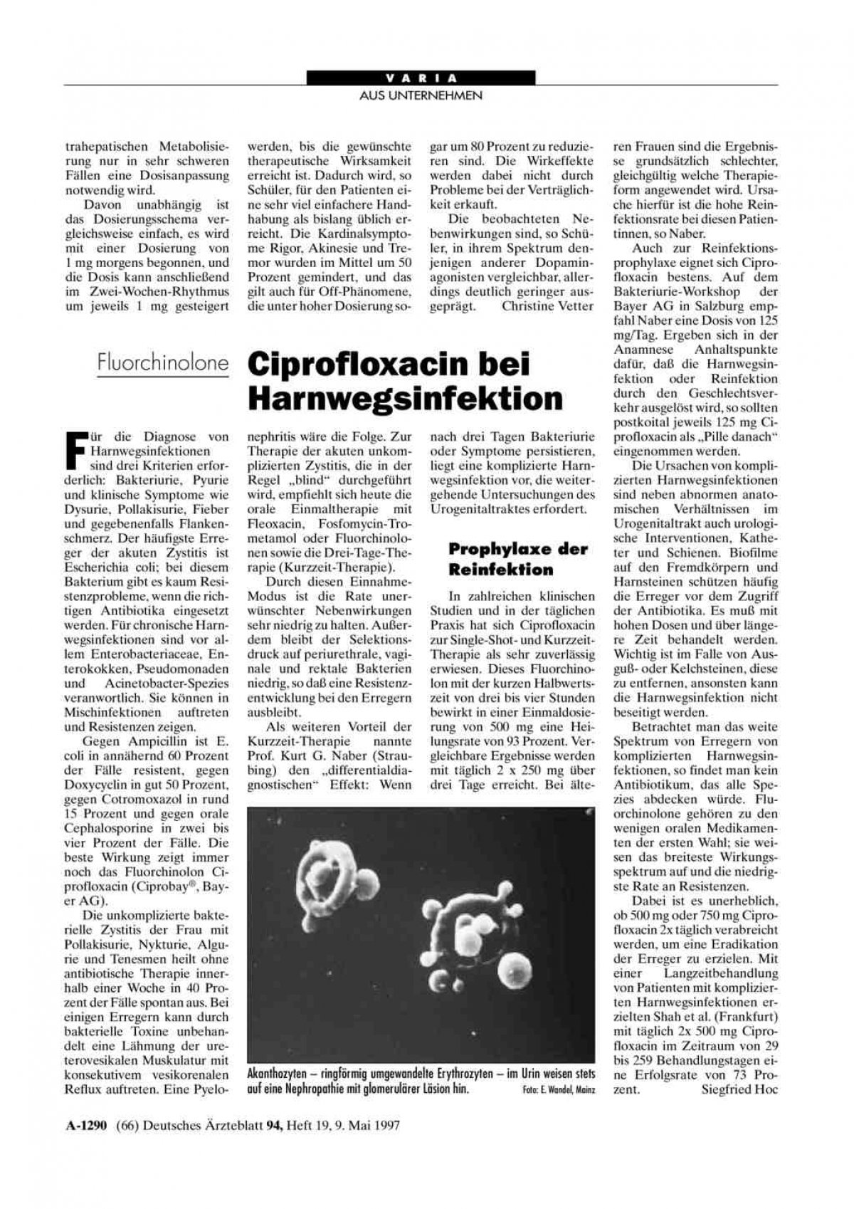 Ciplox Online