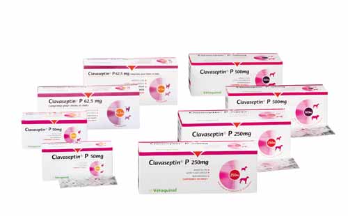 Amoxicilline Pour Chat Sans Ordonnance