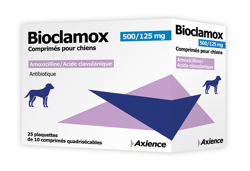 amoxicilline commande en ligne
