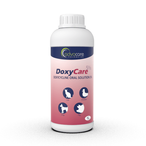 Doxycycline France Acheter