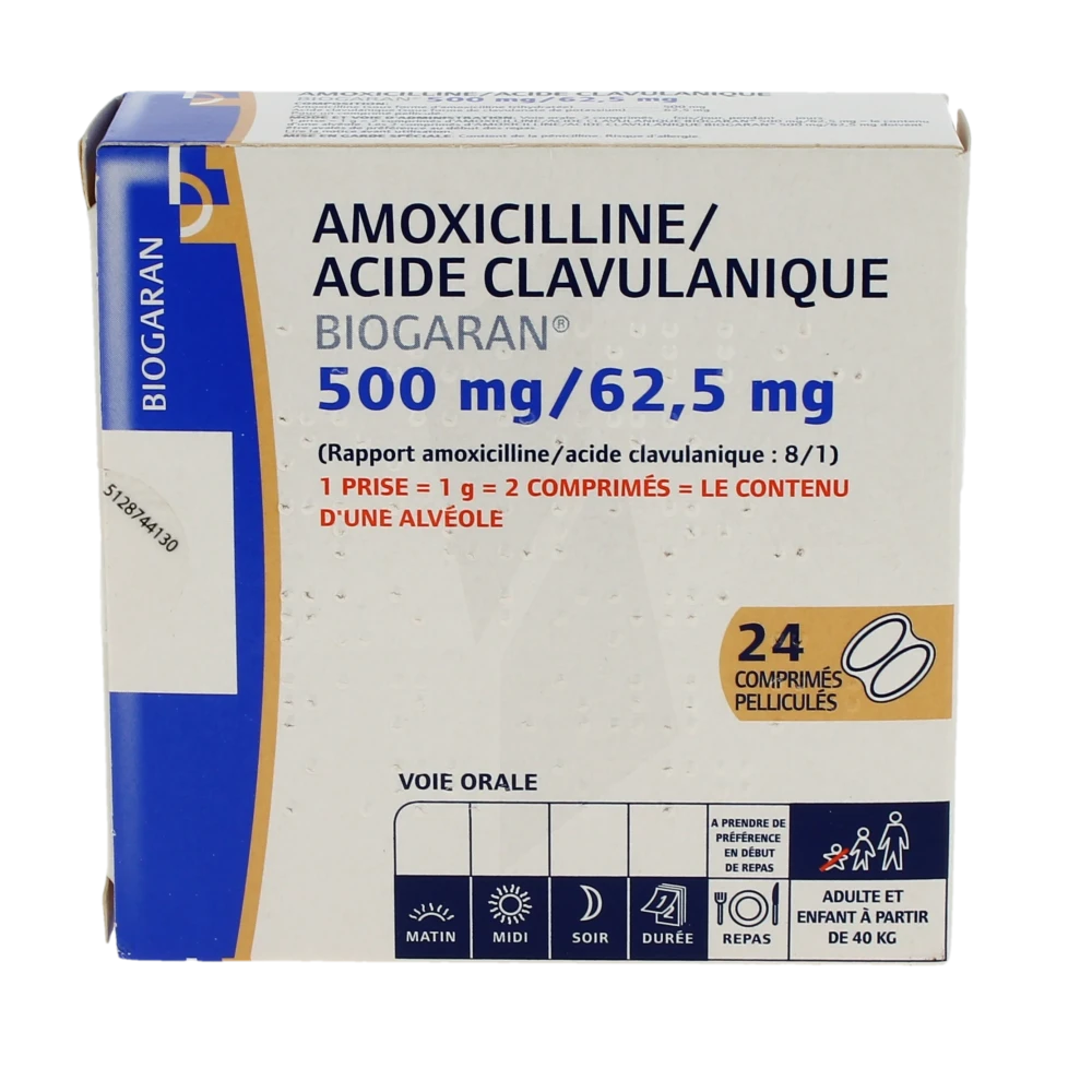 amoxicilline pilule