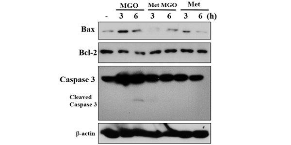 metformin available online