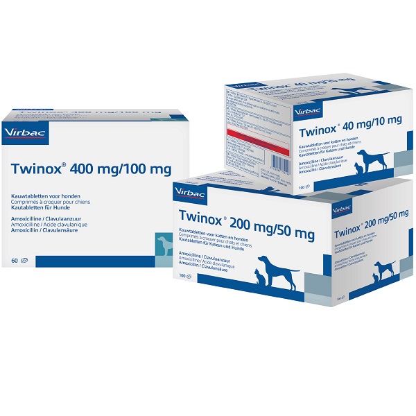 Amoxil Achat France