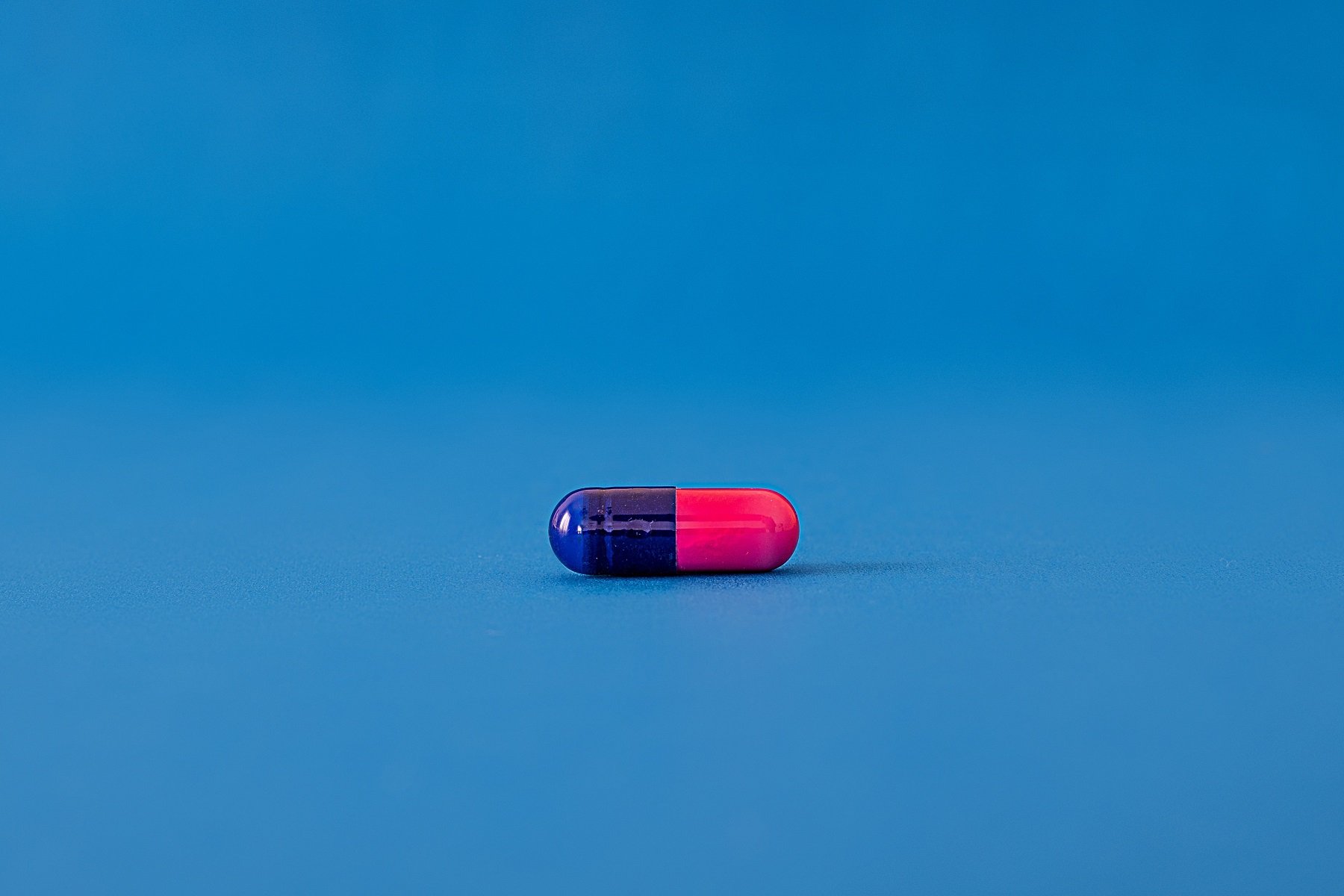 amoxicilline zydus france 500mg