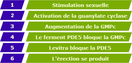 Comment Acheter Du Vivanza