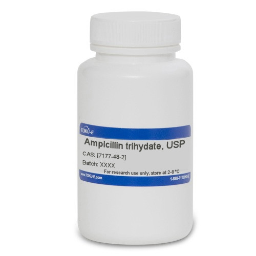 amoxicilline trihydrate prix