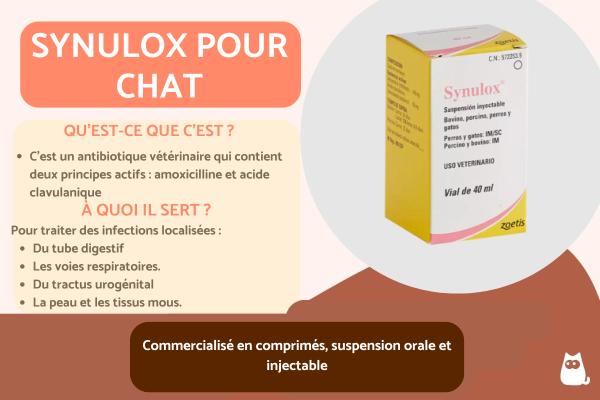 Amoxicilline Pour Chat Prix