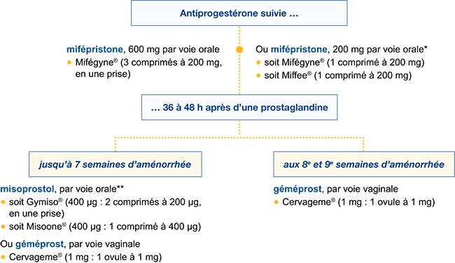 Vente De Cytotec En Ligne Vente De Cytotec En Ligne