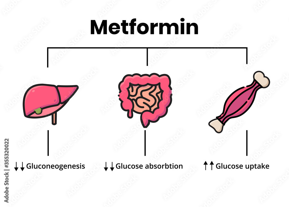 Ou Acheter Metformin