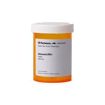 Amoxicilline 650mg online