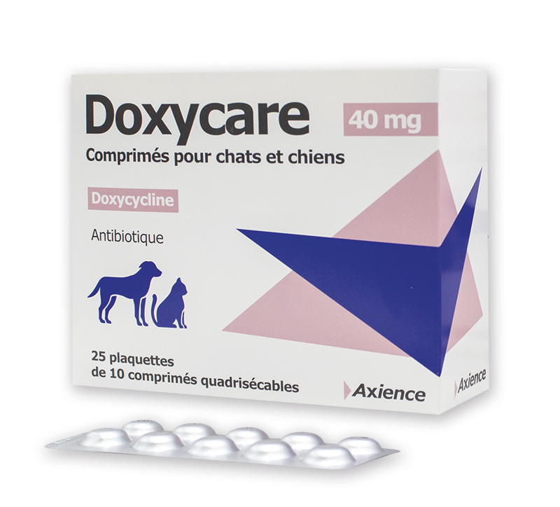doxycycline pharmacie en ligne