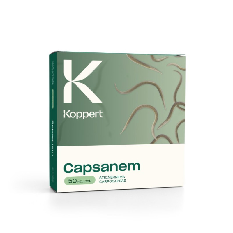 Prix boite kamagra