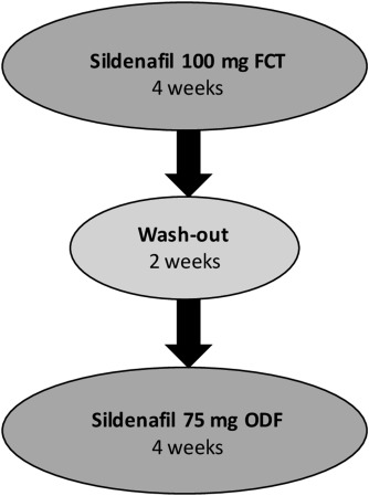 Sildénafil 75mg