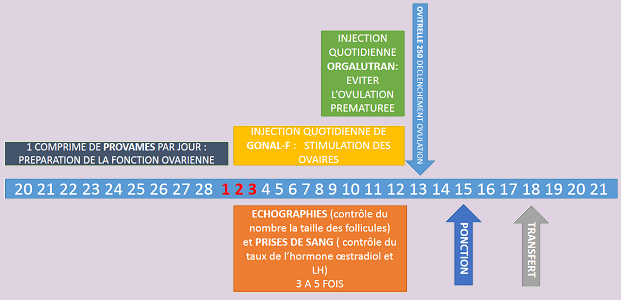 Coût Du Clomid
