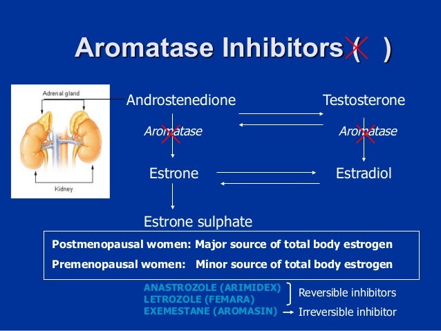 Acheter du ivermectin en ligne