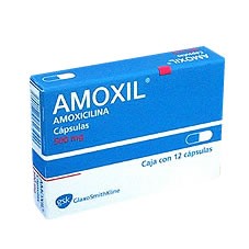 Amoxicilline 250 mg prix