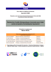 ciprofloxacin pbs online