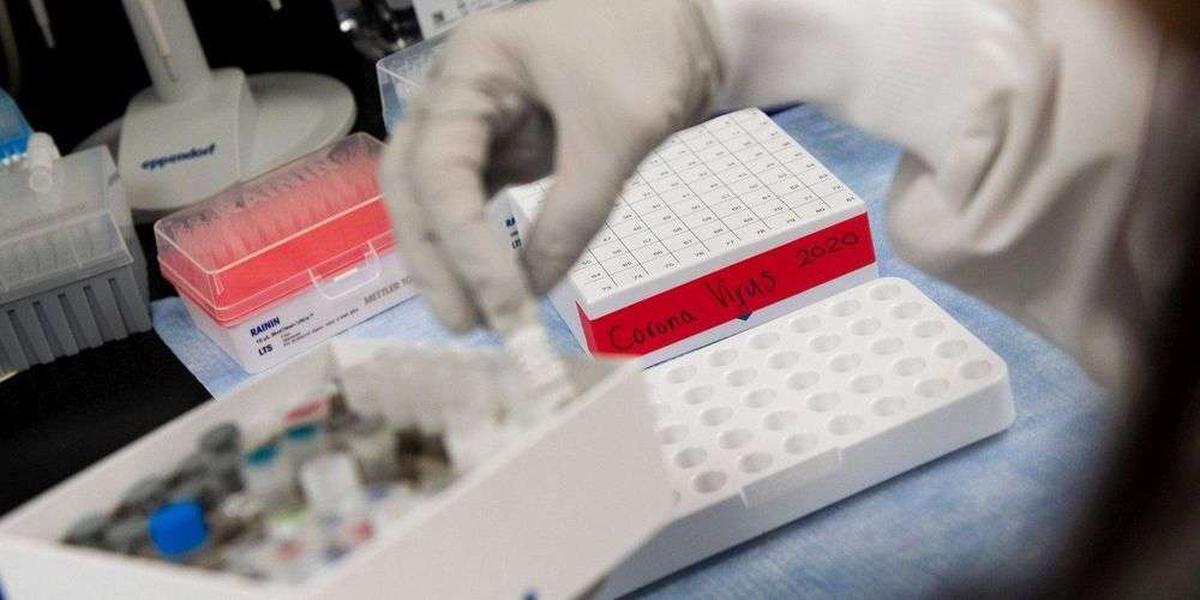 Ivermectine Disponible En France Ivermectine disponible en france