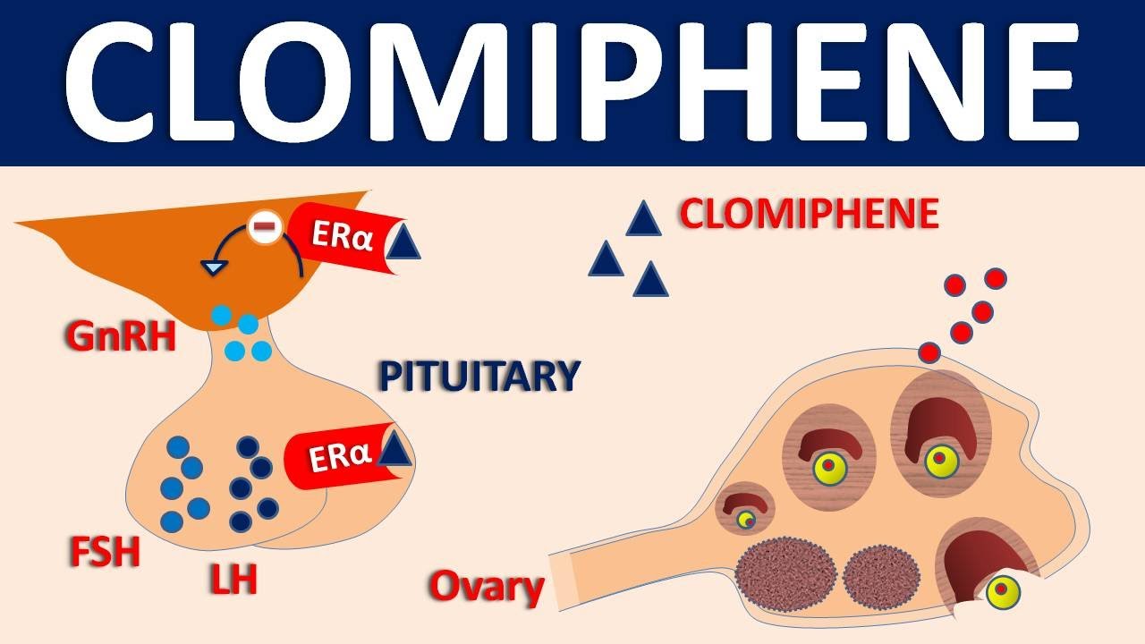 Clomiphène france acheter