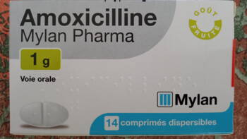 Amoxicilline 1g Prix