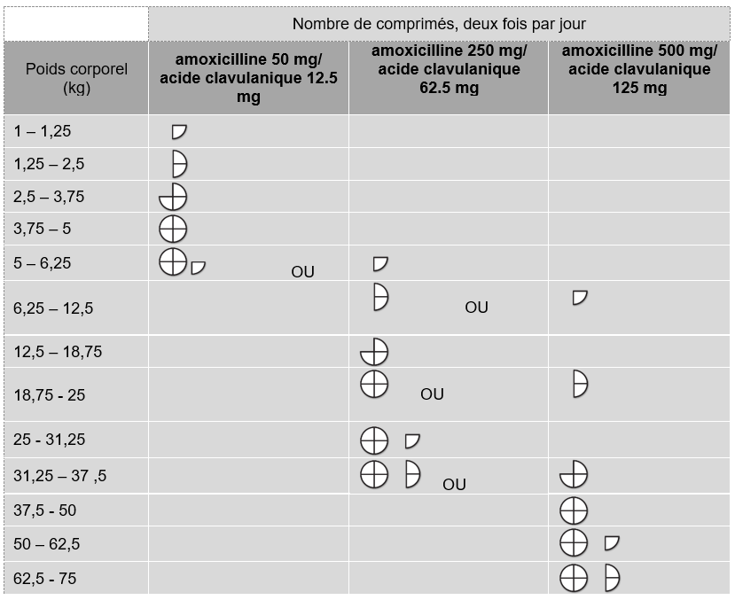 Amoxicilline pour chat sans ordonnance
