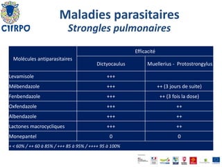 Acheter mébendazole en ligne acheter mébendazole en ligne